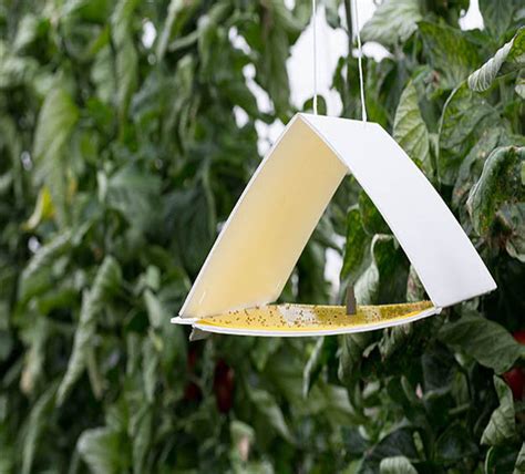 Pheromone Traps - Traps for Greenhouse Insects - Harvesso