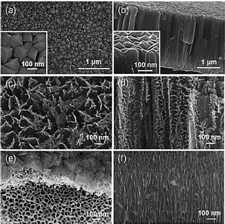 Sem Images Of The Top View A And Cross Sectional View B Of