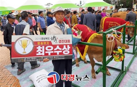 문경시 경북한우경진대회 암송아지 부분 최우수상 수상다경뉴스