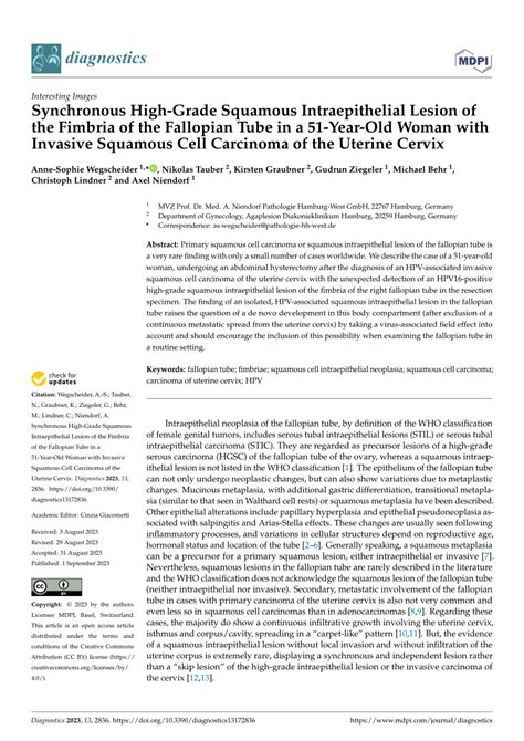 PDF Synchronous High Grade Squamous Intraepithelial Lesion Of The