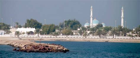 Dalma Island A Complete Guide To Dubai