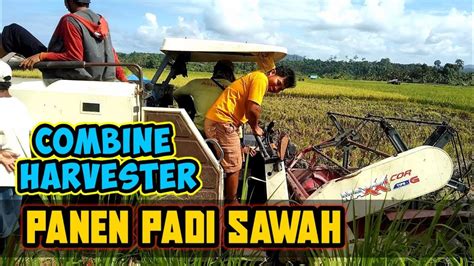 Pemanenan Padi Sawah Menggunakan Teknologi Terbaru Combine Harvester