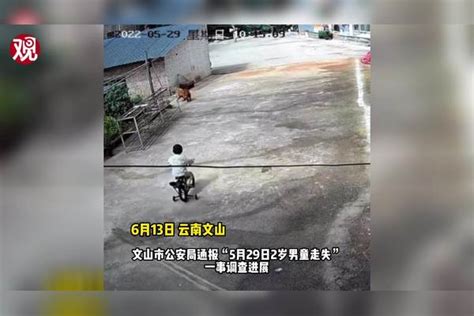 云南文山警方通报“2岁男童与狗一起失踪”：山林中发现走失男童尸体云南2岁男童走失半月后已确认死亡男童文山