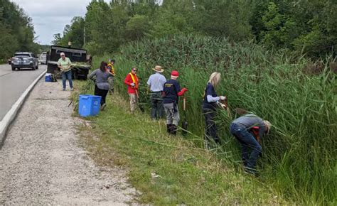 Reports And Publications Severn Sound Environmental Association