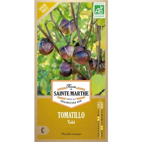 Semences Tomatillo Violet Bio 50 Graines Ferme De Sainte Marthe