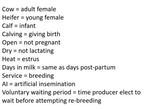 3. Bovine Reproduction Flashcards | Quizlet