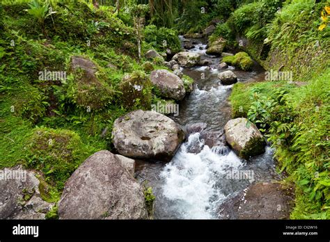 Gunung kawi bali Fotos und Bildmaterial in hoher Auflösung Alamy