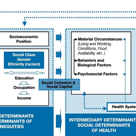 Csdh Conceptual Framework For Action On The Social Determinants Of Download Scientific Diagram