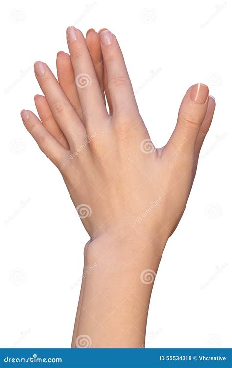 Female Hands Are Touching With Interlaced Finger Tips Stock Photo