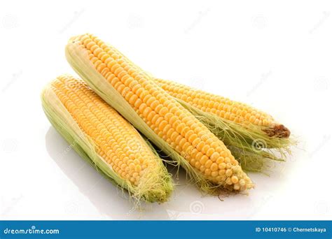 Corns Isolated On White Stock Photo Image Of Closeup 10410746