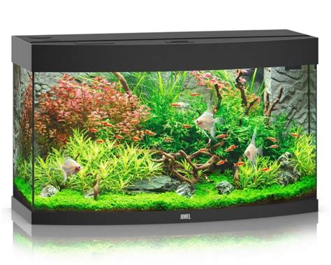 Juwel Vision Led Komplett Aquarium Ohne Unterschrank Aquarium