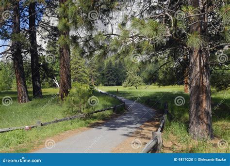 Hiking Trail in Yosemite Valley Stock Photo - Image of granite, park ...