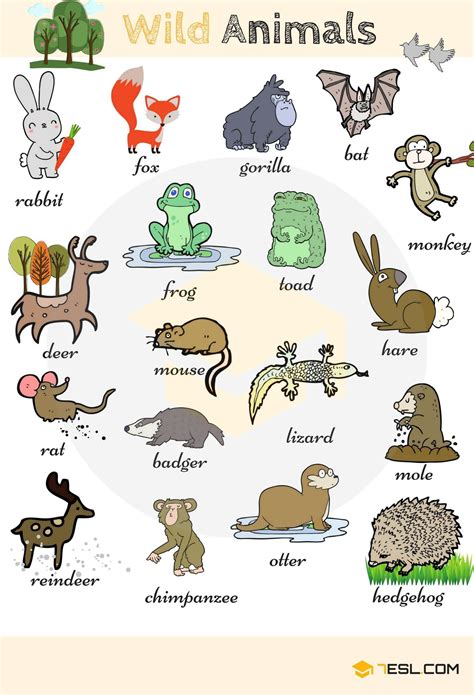Animal De Estimação Em Ingles