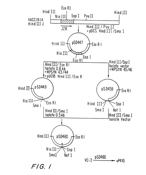 Feline immunodeficiency virus patented technology retrieval search