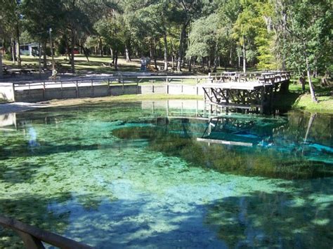 Gilchrist Blue Springs State Park High Springs Florida Top Hot Springs