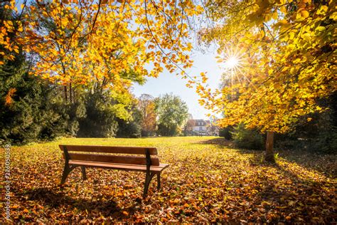 Goldener Herbst Im Park Auf Einer Parkbank Stock Foto Adobe Stock