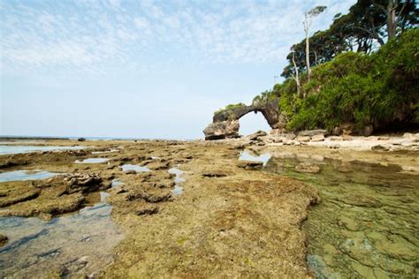 Isla Neil En El Archipi Lago De Andaman Y Nicobar Puente De Piedra