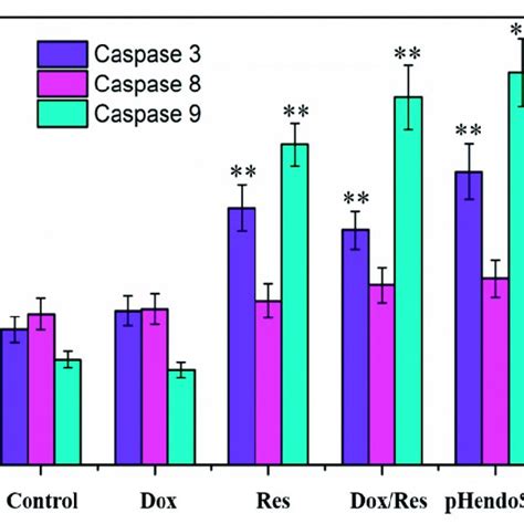 In Vivo Imaging Of Mcf Adr Tumor Bearing Nude Mice After Intravenous