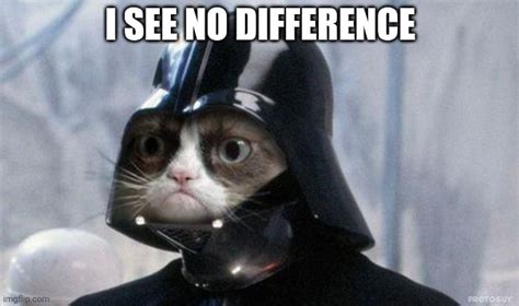 Grumpy Cat Star Wars Meme Imgflip