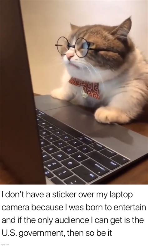 Laptop Memes Gifs Imgflip