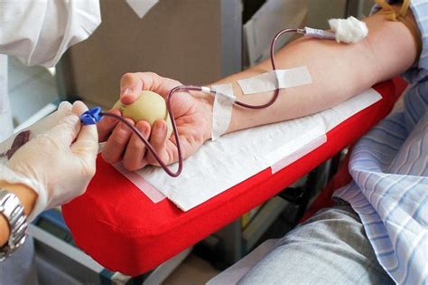 Avis Barletta Una Donazione Straordinaria In Occasione Del Mennea Day