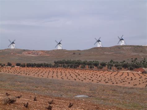 Windmills - D.O. La Mancha