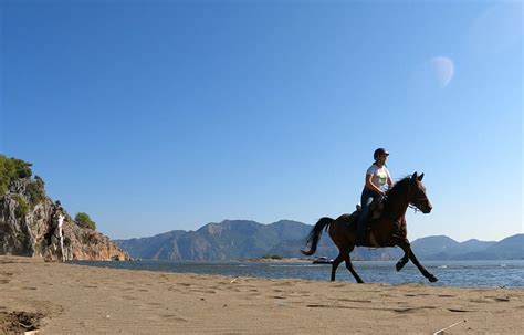 Comment Se Pr Parer Physiquement Pour Une Longue Randonn E Cheval