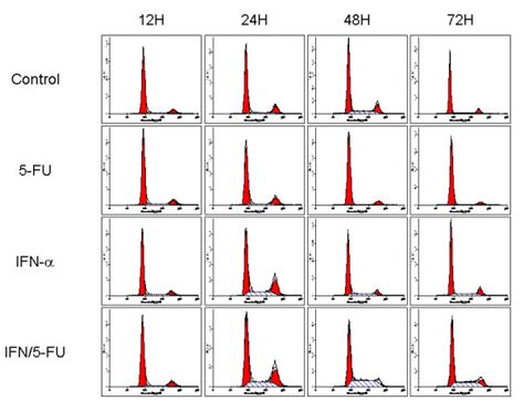 Flow Cytometric Analysis Of Cell Cycle Progression In Huvec Cells