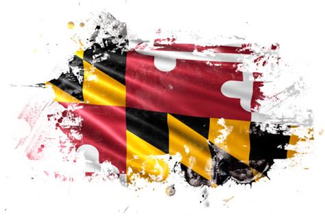 160 Maryland Flag Stock Illustrations Royalty Free Vector Graphics