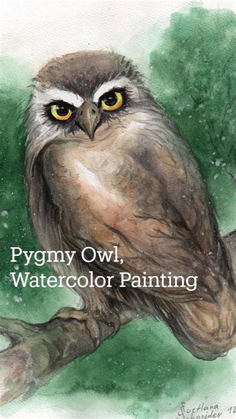 Owl Painting Watercolor Original Art Bird Of Prey Wall Art Owl Artwork