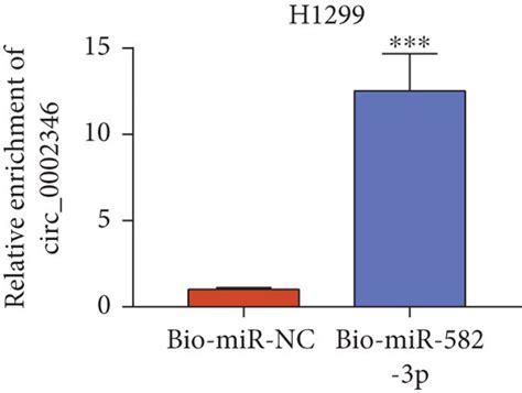 Circ 0002346 Directly Binds To MiR 582 3p A The Putative Binding