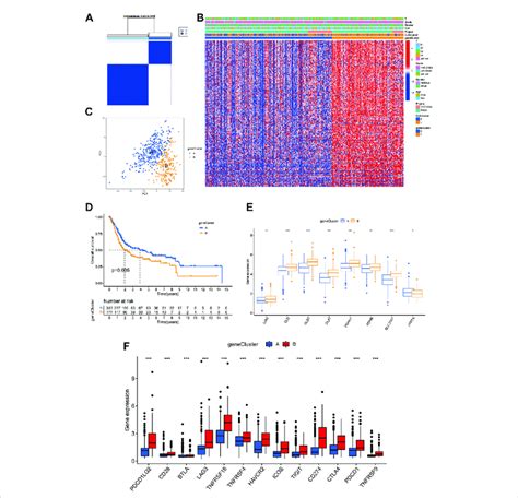 Prognostic And Tme Characteristics Between Two Cuproptosis Gene