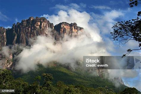 Tepui にカナイマ国立公園ベネズエラ エンジェルフォールのストックフォトや画像を多数ご用意 エンジェルフォール カラカス