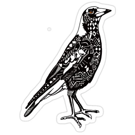 Australian Magpie Stickers By Jason Embery Redbubble