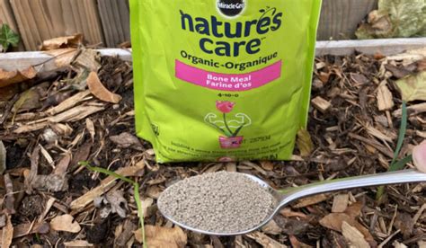 Best Low Nitrogen Fertilizers A Complete Guide