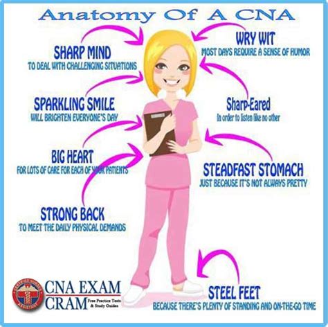 CNA Duties, Skills and Characteristics | CNA Exam Cram