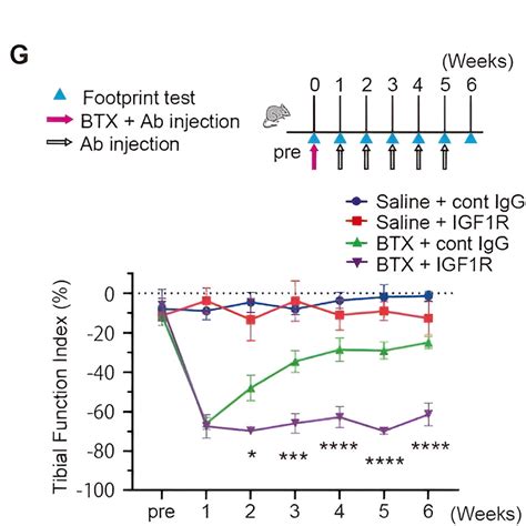 Prolonging The Effects Of Botulinum Therapy A Milestone In