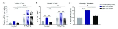 Lxrα Mediates Immune Activation Of The Endothelial Cell Line Hcmec D3 Download Scientific