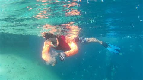 Snorkeling in Fish Eye, Guam. 괌 피쉬아이 스노클링 - YouTube