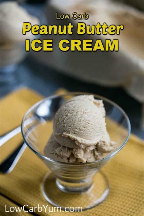 20 Of the Best Ideas for Low Fat Ice Cream Recipes for Cuisinart Ice Cream Makers – Best Diet ...