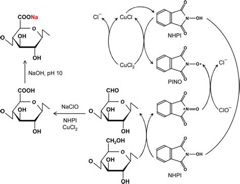 N Hydroxyphthalimide Nhpi Co Catalyst Naclo Oxidation Of Cellulose In Download Scientific