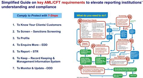 Obligations By Reporting Institutions Under Amla Accountants Today