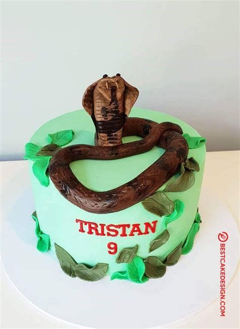 50 Snake Cake Design Images Cake Gateau Ideas 2020 Snake Cakes