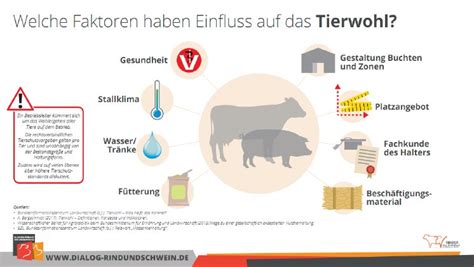 Welttierschutztag Zahlreiche Faktoren Beeinflussen Das Tierwohl In