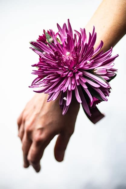 Premium Photo Close Up Of Hand Holding Purple Flower Against White