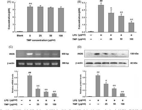 Figure From Tetramethylpyrazine Inhibits Production Of Nitric Oxide