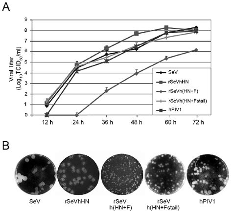 Virus Growth Kinetics And Plaque Formation Of RSeVs A Multi Step