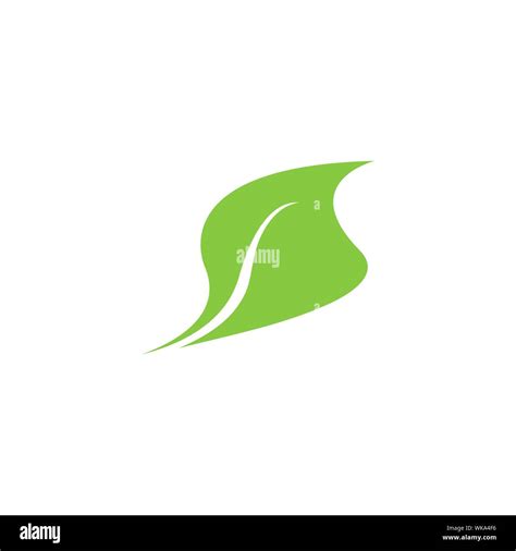 Leaf Graphic Design Template Vector Isolated Illustration Stock Vector