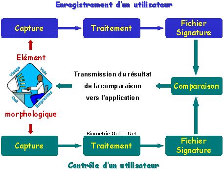 Biometrie Biometrics Fonctionnement