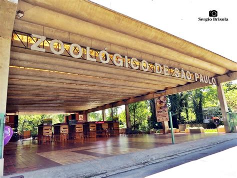 Parque Zoológico De São Paulo Descubra Sampa Cidade De São Paulo